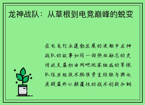 龙神战队：从草根到电竞巅峰的蜕变